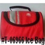 T-06966